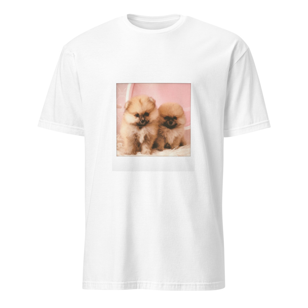もち吉ともち太のTシャツ