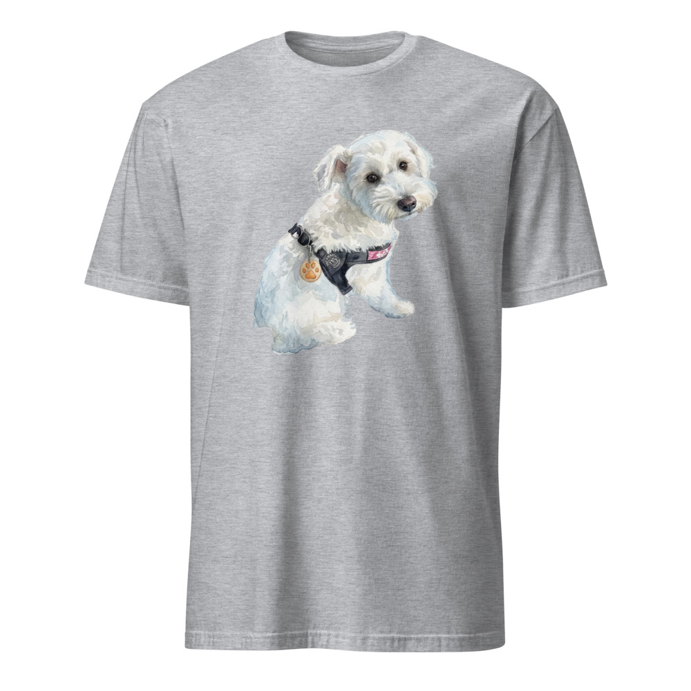 カコルルのTシャツ