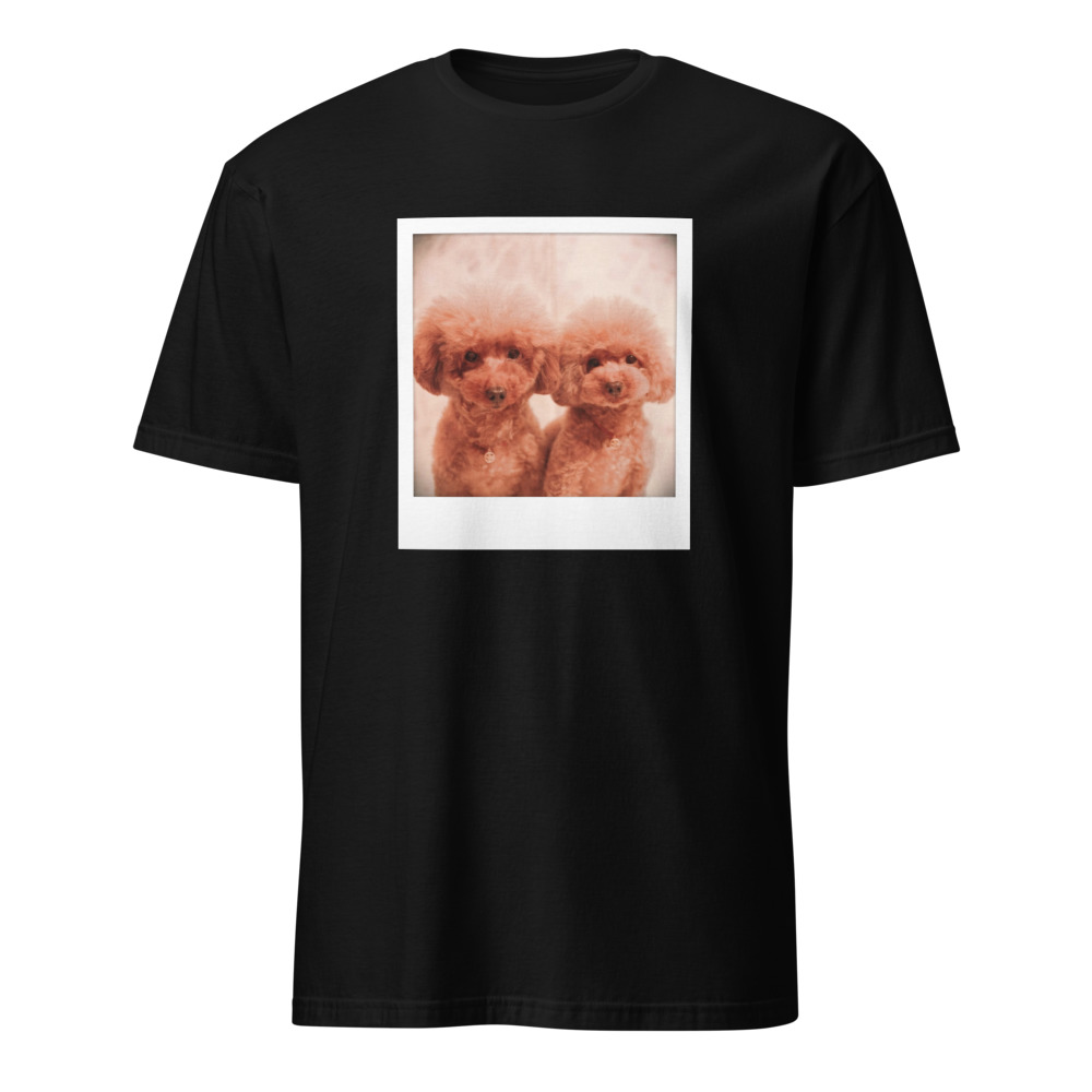 エル、ルナのTシャツ